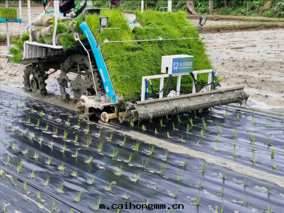 案(àn)例大(dà)图(tú)