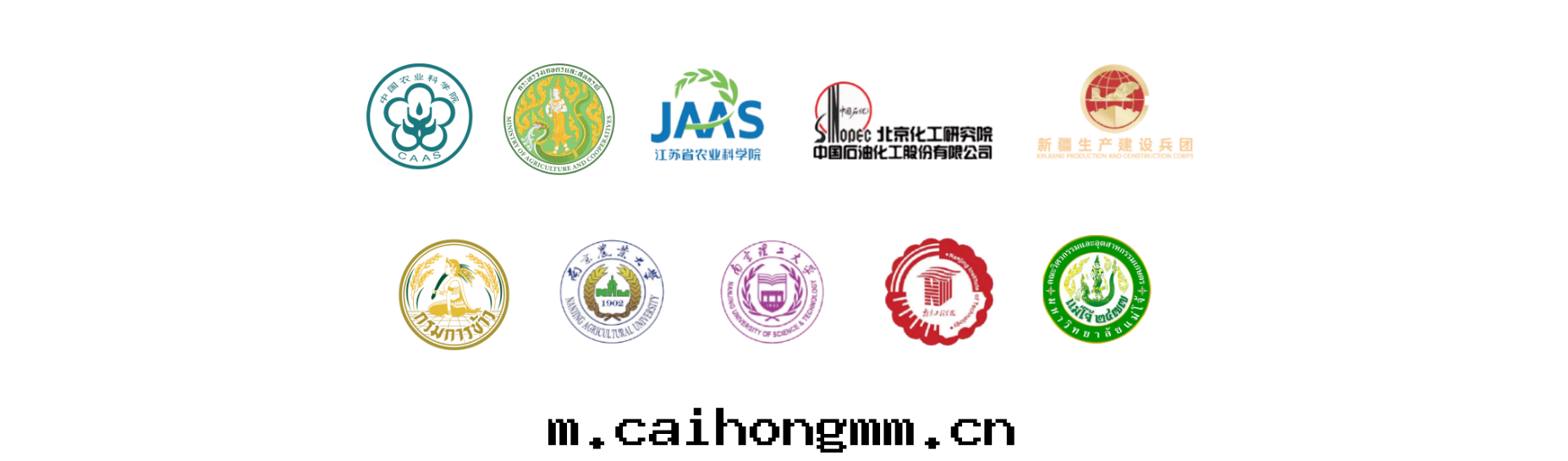 合作(zuò)機(jī)構