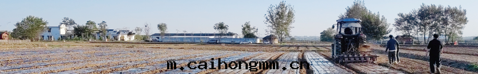 農商学院(yuàn)图(tú)片(piàn)